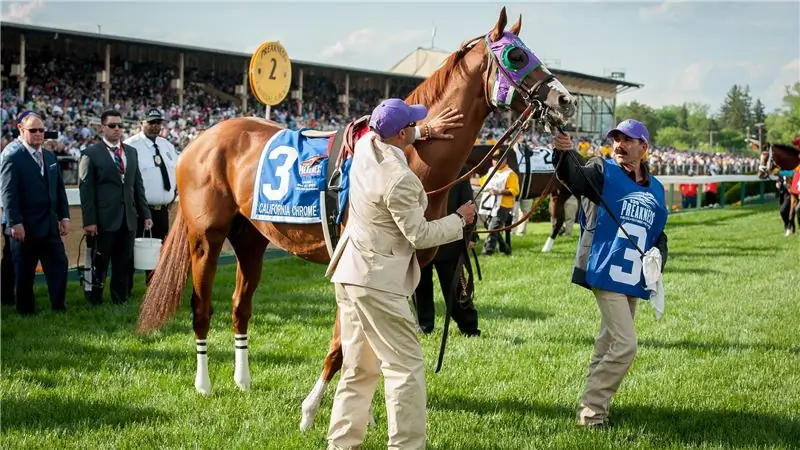 Улучшают ли назальные полоски производительность?