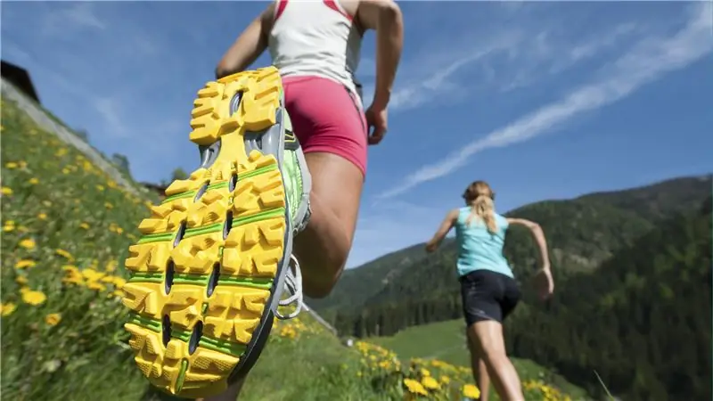 Летние лагеря для взрослых