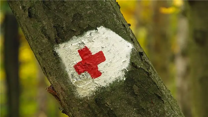 Повлияет ли сдача крови на мои тренировки?