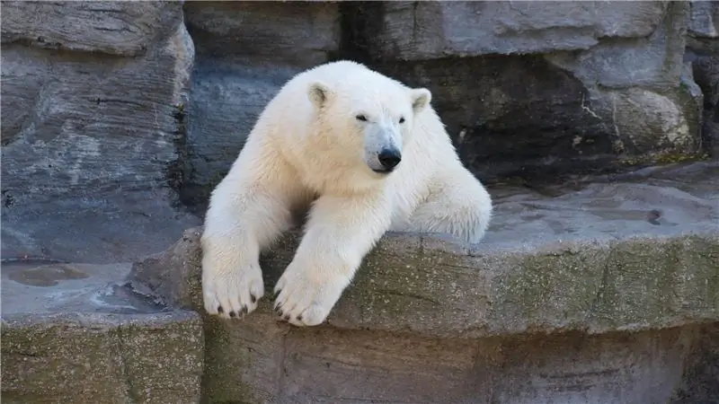 Подпишите для доставки