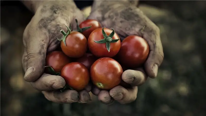 Отравитесь - это хорошо для вас