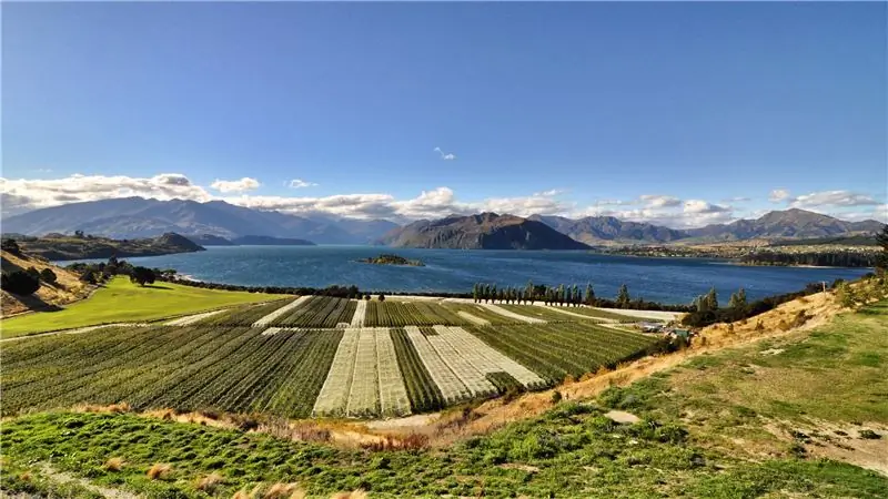 Как купить вино после землетрясения в Напе