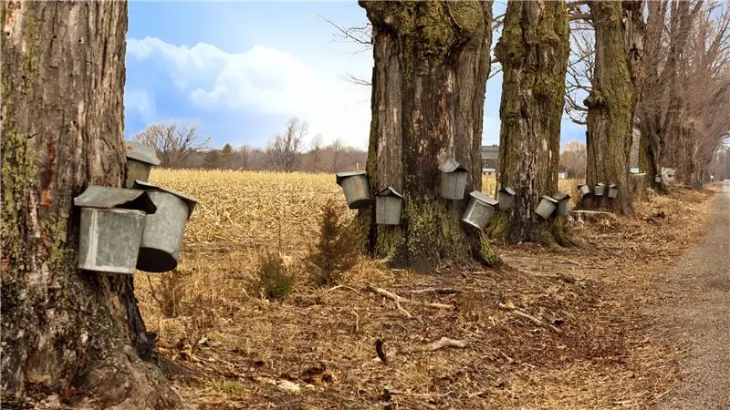 Передайте сладкое