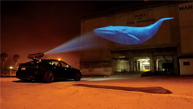 Самый большой тайный защитник природы вернулся