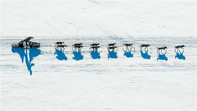 Для этого человека идитарод - это соперничество отца и сына