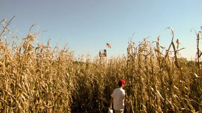 2010 Cherry Crest Farms Corn Maze Мэтт Пенсильвания