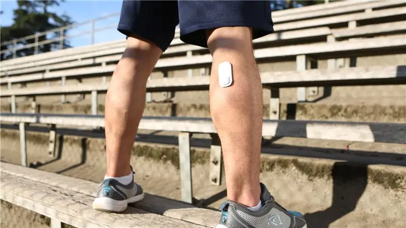 Живите от теленка: ваш лактатный порог