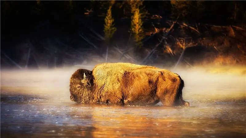 Вайоминг криминализировал гражданскую науку?