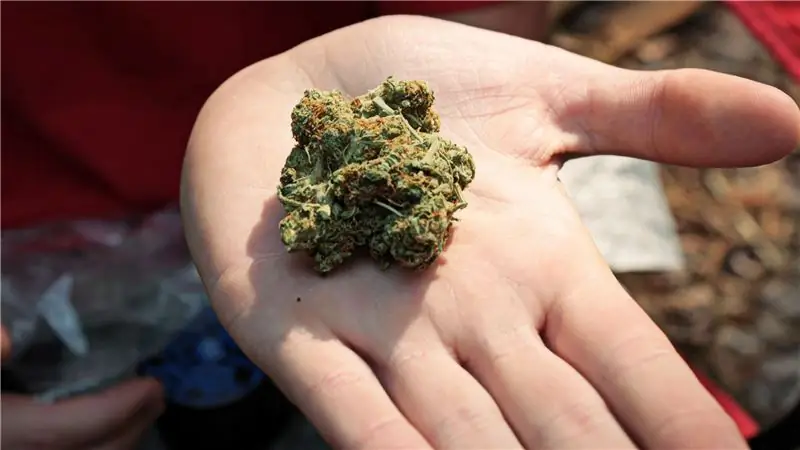 Портленд Интернэшнл дает добро на травку