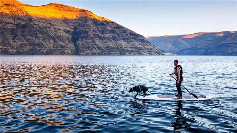 Как заниматься любимым спортом с собакой