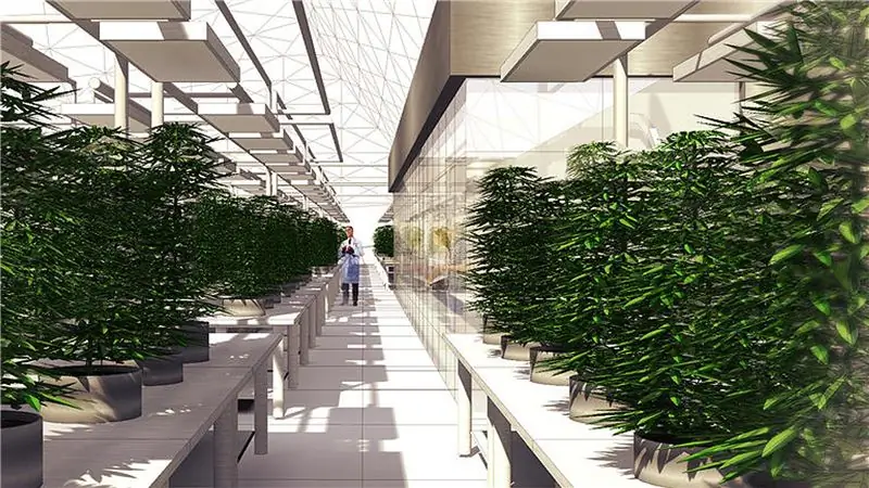 Это ранчо хочет установить новый стандарт марихуанового туризма