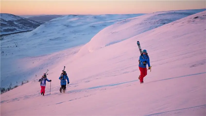 Эй, Gear Heads: только что открылась работа вашей мечты