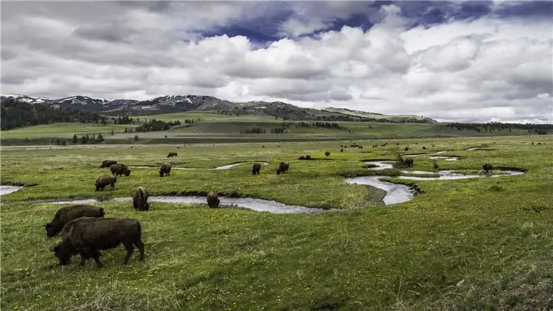 Вот откуда идет финансирование наших национальных парков