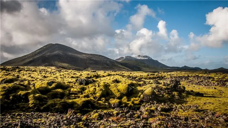 Пять странностей из очень странного судебного процесса против Nike