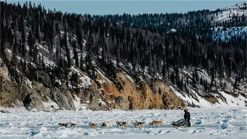 Вот снаряжение, необходимое, чтобы выжить в Iditarod