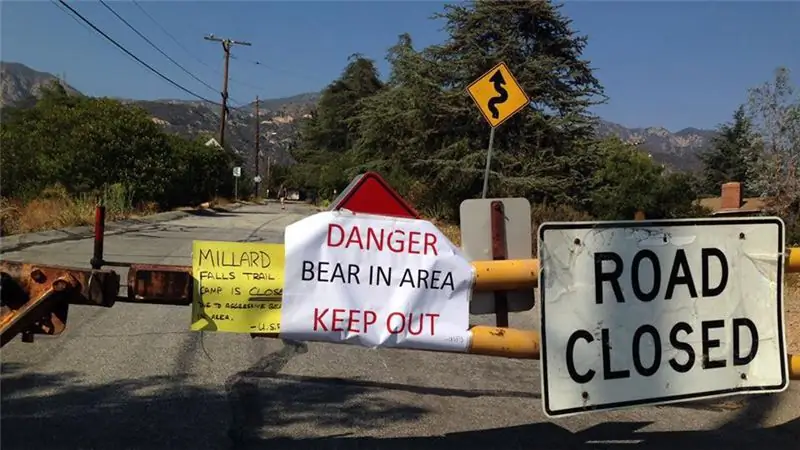 Нет, Лос-Анджелес, это не Медвежий Магедон. Пока что