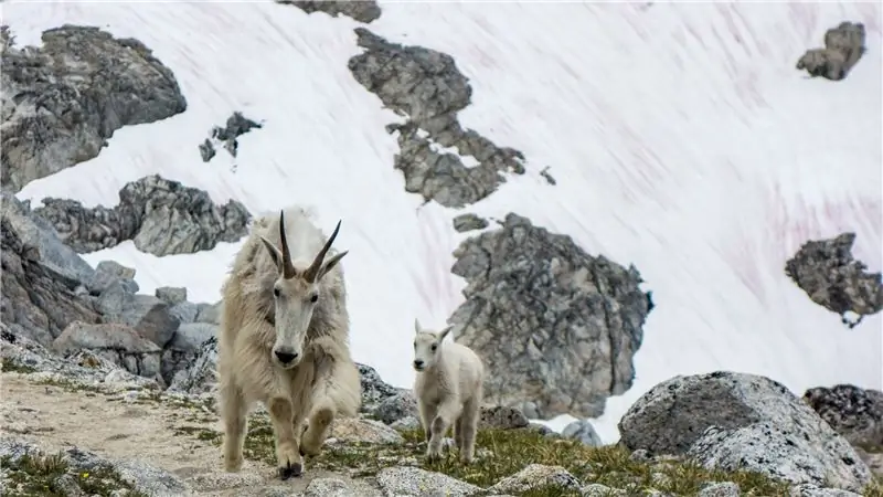 Проверка фактов о плане Республиканской партии украсть вашу общественную землю