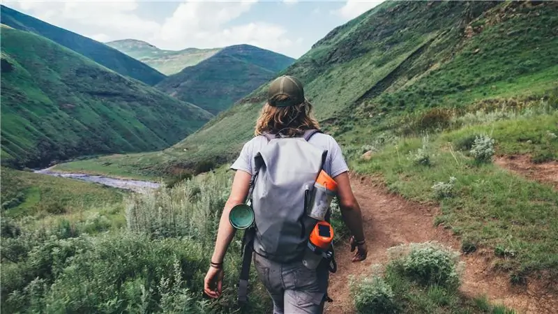 В защиту тропических ангелов