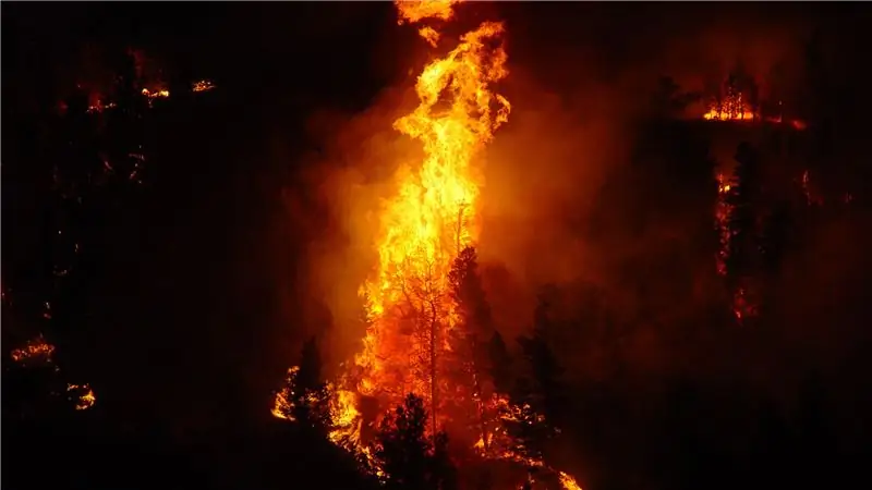 Вы можете расплачиваться за следующий большой лесной пожар