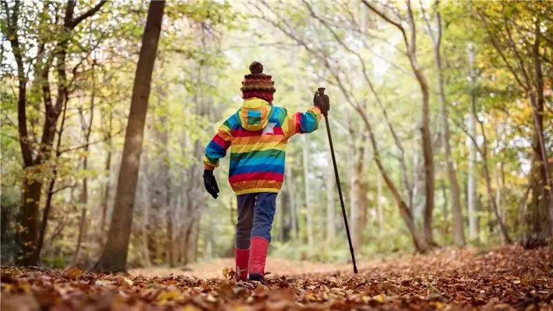 Являются ли детские игры противоядием от чрезмерного воспитания?