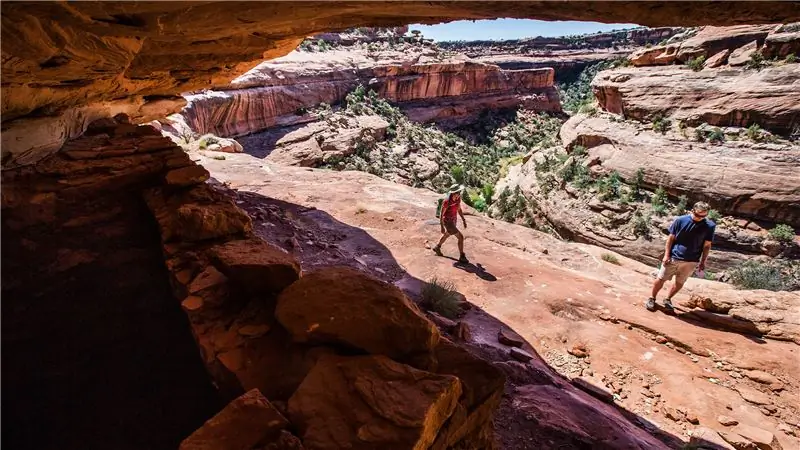 Четыре расы, которые могли определить судьбу наших общественных земель