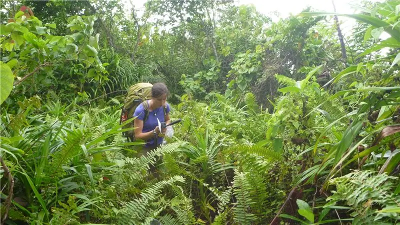 Работать в одном из самых дождливых мест на Земле на самом деле весело