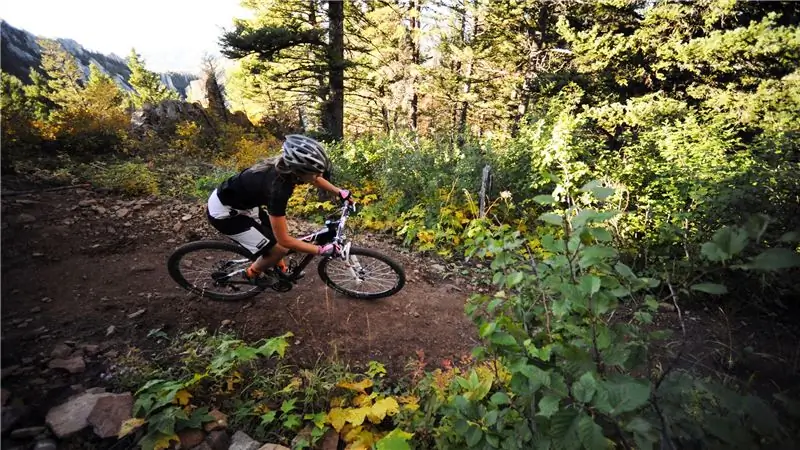 Законодатель штата Монтана - байкерам из пригорода: вы - инвазивный вид