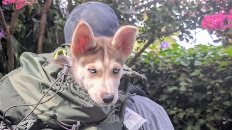 Почему вам не нужен или не нужен сверхлегкий рюкзак