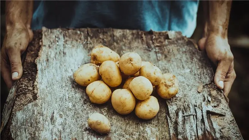 Ода спортсмена картофелю