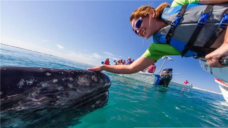 14 впечатлений, которые можно подарить людям в этот праздничный сезон