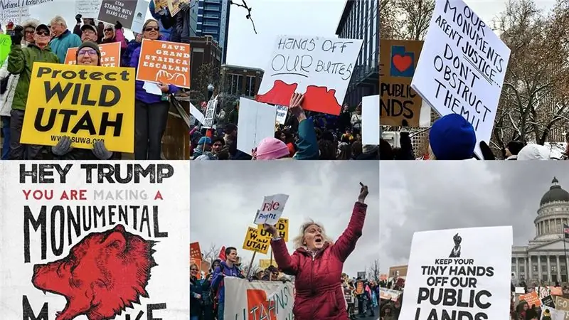 Вы реагируете на усыхание медвежьих ушей Трампа