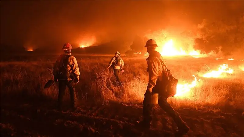 Не поддавайтесь Закону об устойчивых федеральных лесах