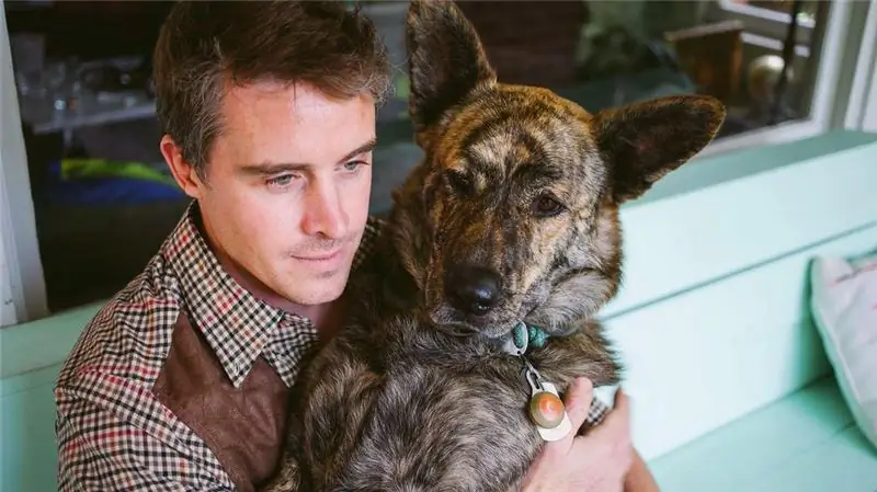 Все собаки - животные эмоциональной поддержки