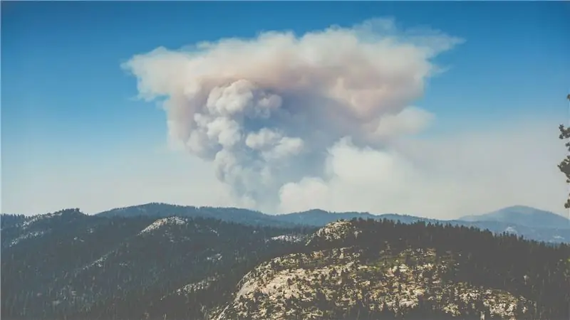 Изменение климата, лесные пожары и будущее лесов