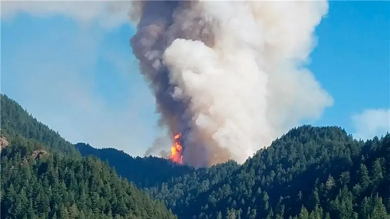 Ни один подросток не должен платить штраф в размере 36 миллионов долларов от лесного пожара