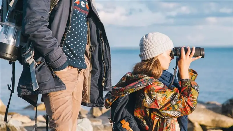 Руководство для новичков по знакомству с птицами