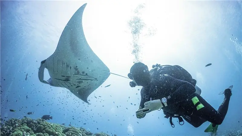 Почему часы для дайвинга могут быть глубже атомных подводных лодок