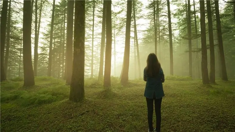 Общение с лесными купальщицами