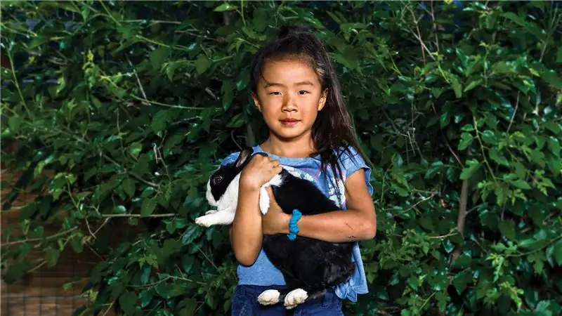 Животные - лекарство от одиночества