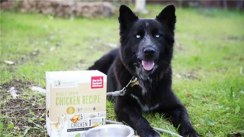 Обезвоженный корм для собак отлично подходит для походов