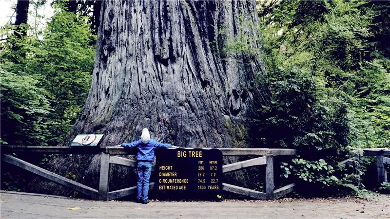 12 способов убедить упрямых детей любить пешие прогулки