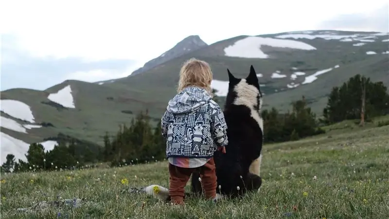 Вспоминая мертвую собаку друга