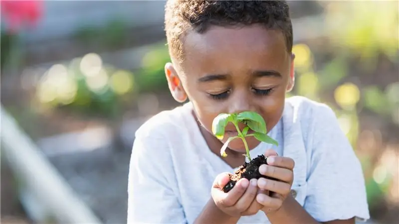 Как научить детей об изменении климата