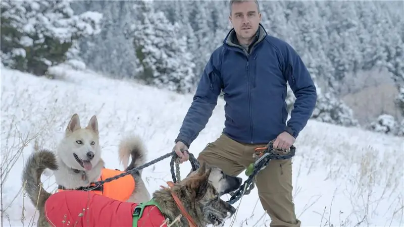 Как правильно выбрать собаку