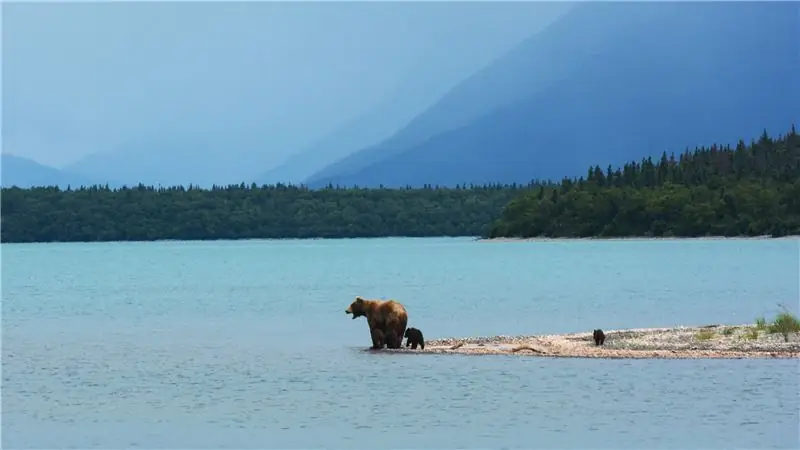 Аляска не годится, очень засушливая зима