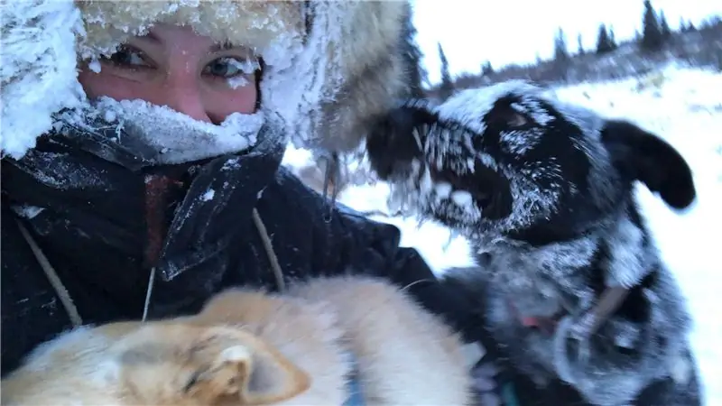Как Блэр Браверман тренировался для Iditarod