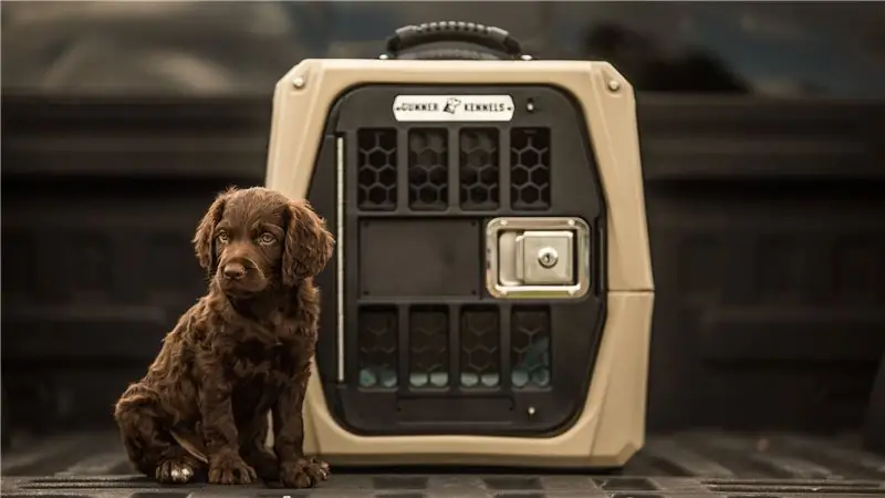 Этот прочный ящик защитит ваших собак в машине