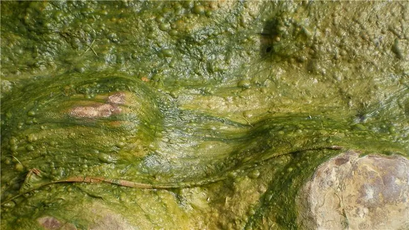 Теперь у вас есть шанс защитить Закон о чистой воде