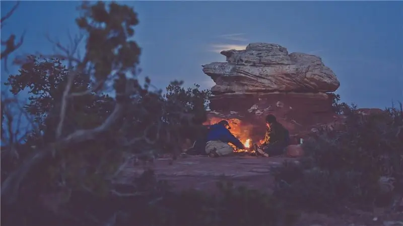 Почему медвежьи уши заслуживают защиты