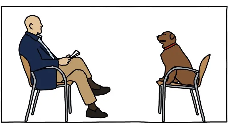 10 вопросов, которые я бы задала своей собаке